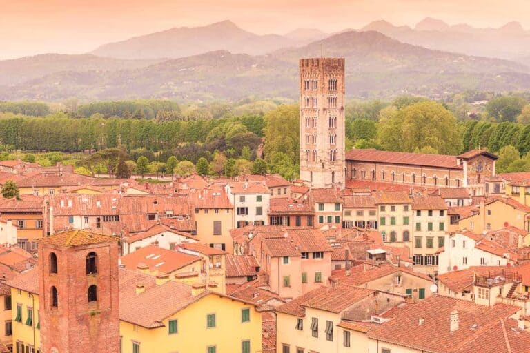 red rooftops from a bird's eye view of lucca italy