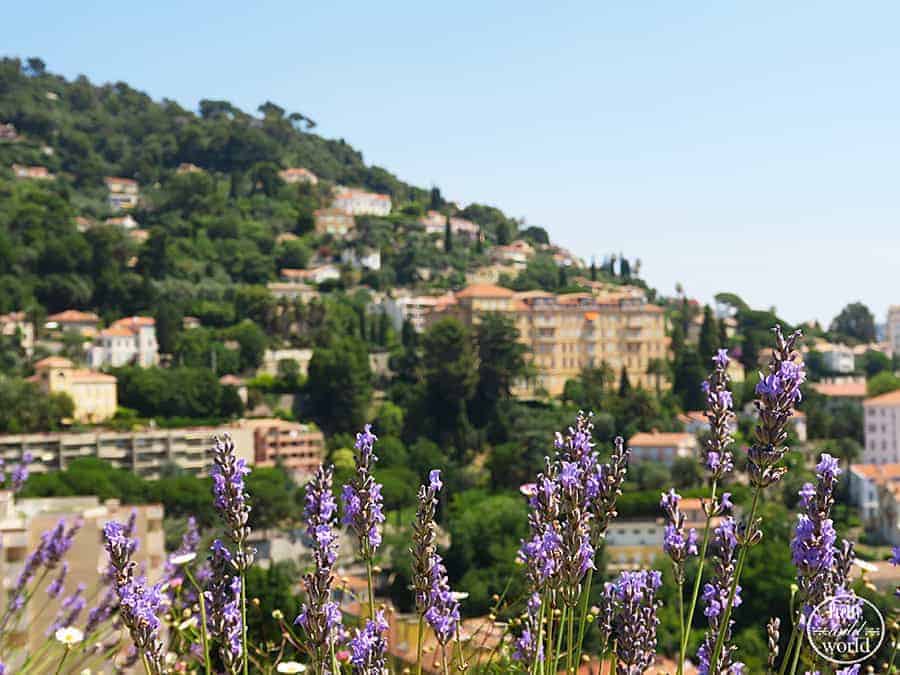 french riviera travel experience