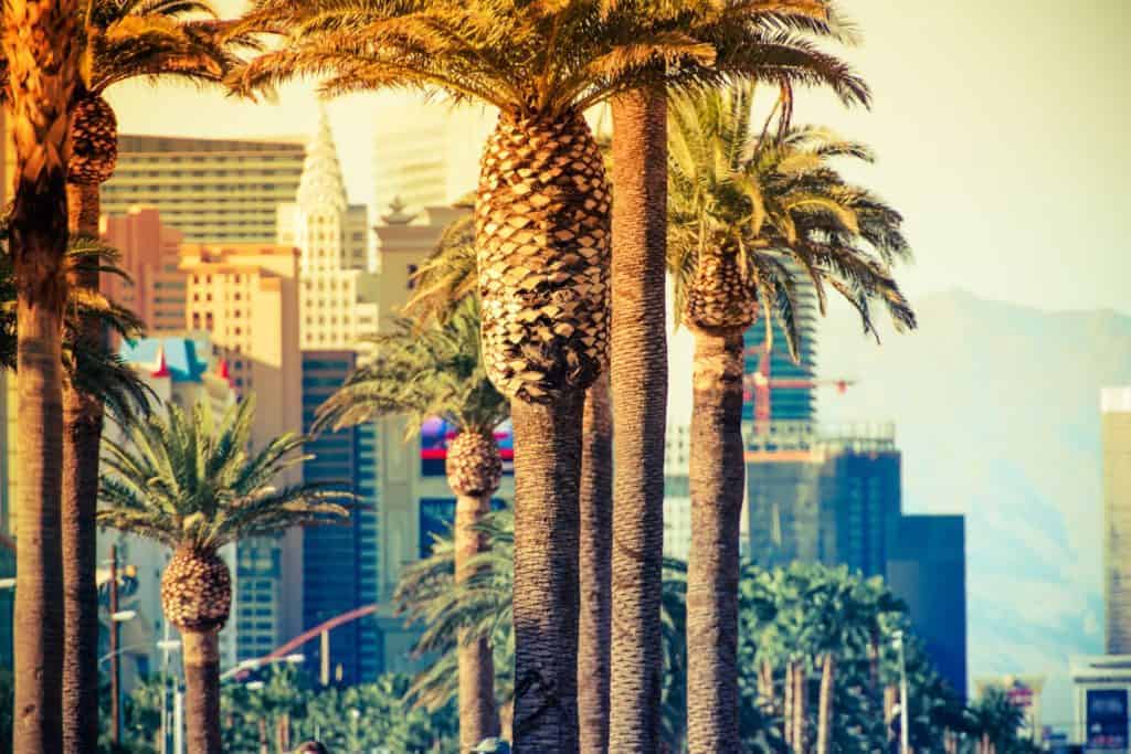 las vegas itinerary first timers