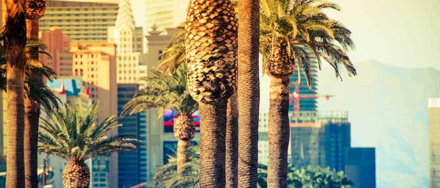 Las Vegas Itinerary First Timers