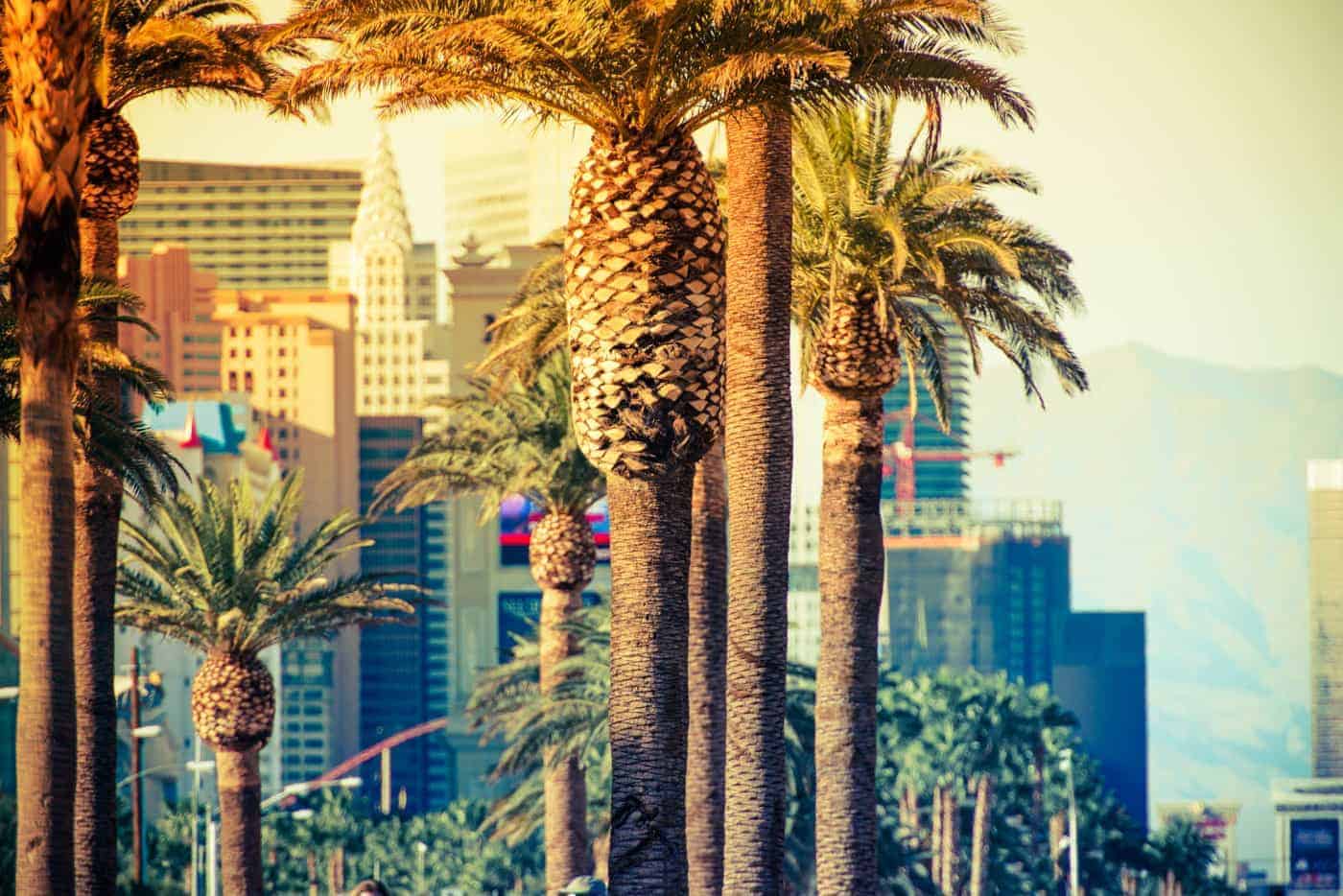 First Time in Vegas: Must-Do’s and Travel Tips