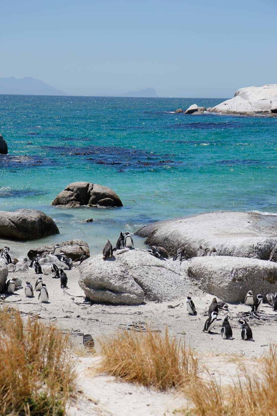 boulders beach cape town itinerary