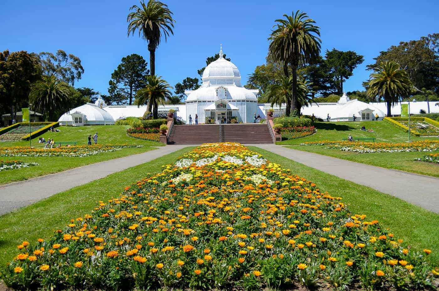 California Academy of Sciences in golden gate park