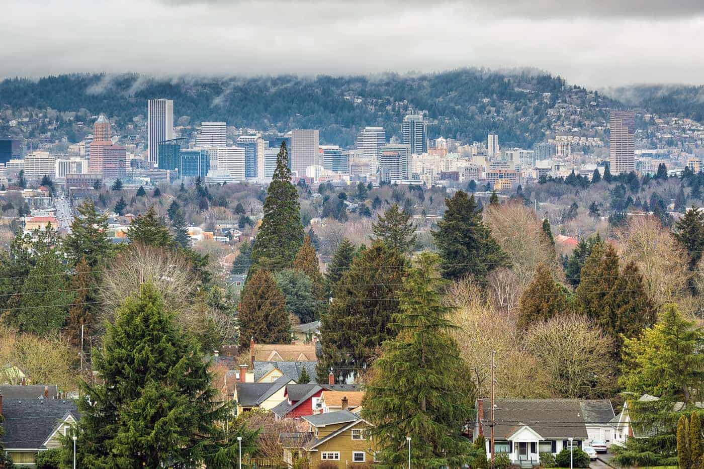 view of Portland's skyline from Mount Tabor Park