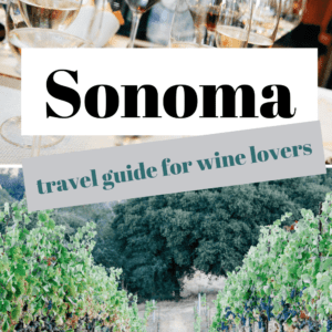 wine glasses and grapes Sonoma California