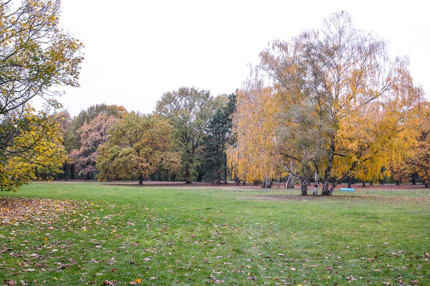 Berlin Tiergarten