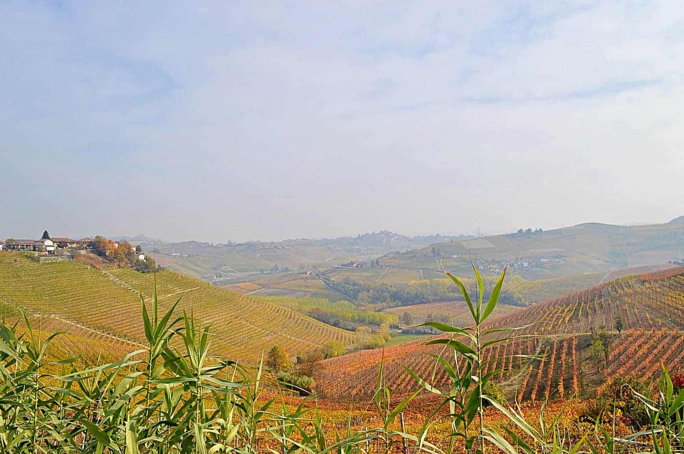 Langhe wine region in Italy