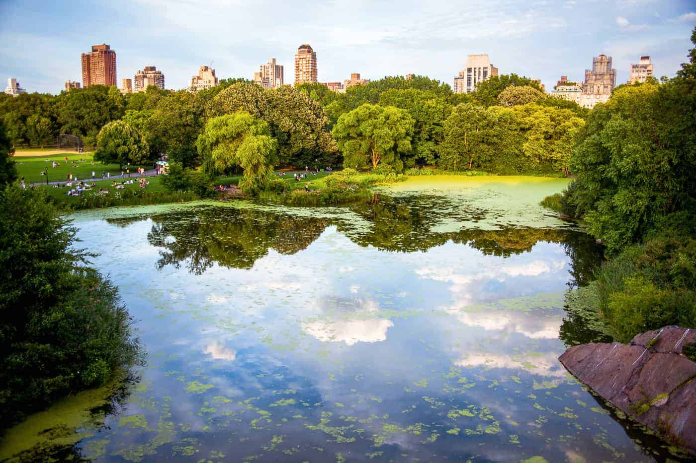 pond in Central Park