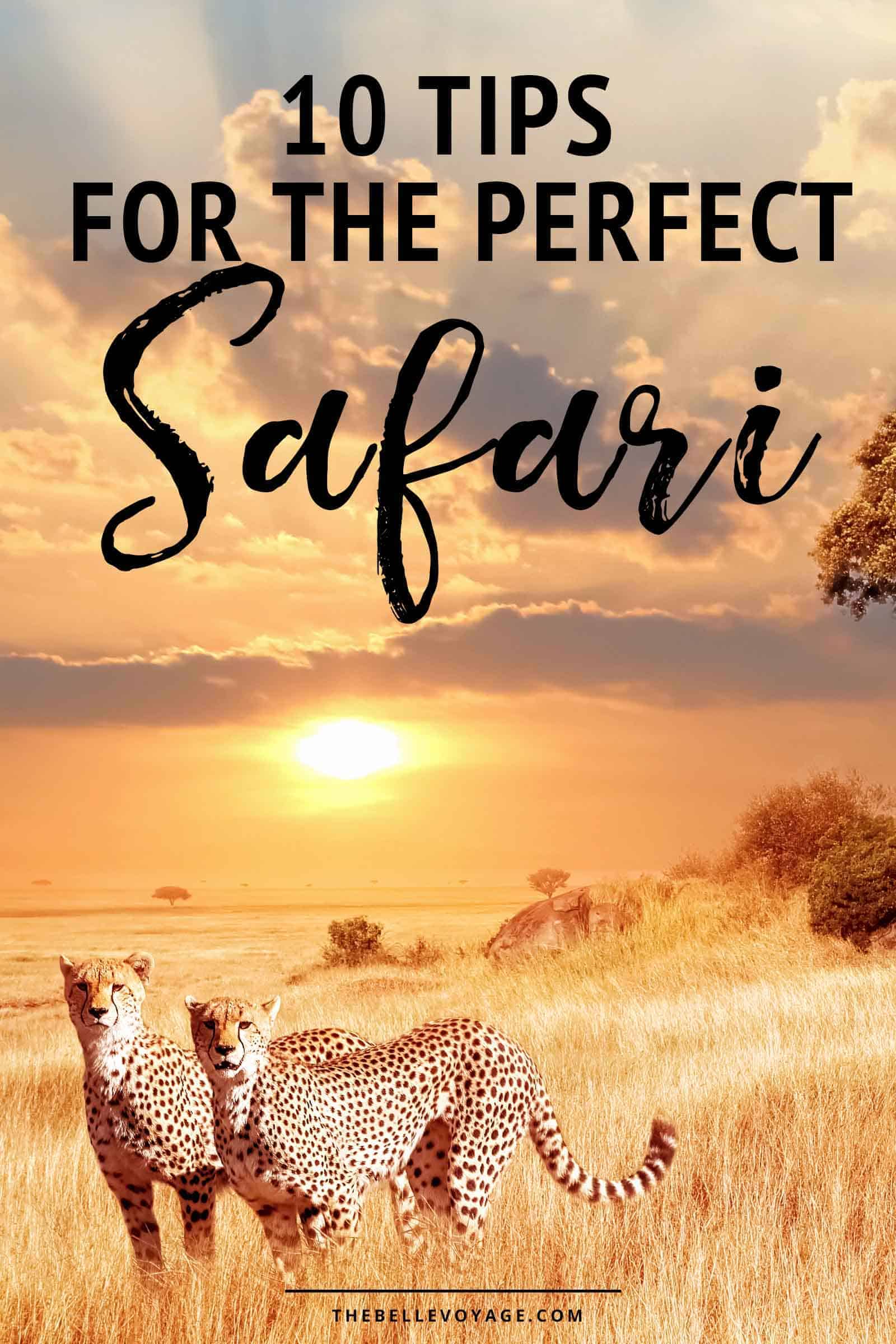 African safari tips | Things to know before your first African safari | Safari vacation tips | Planning the perfect safari honeymoon | Travel on an African safari