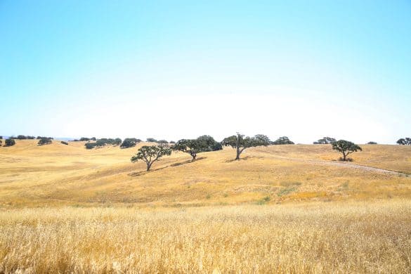 Paso Robles Itinerary Travel Guide
