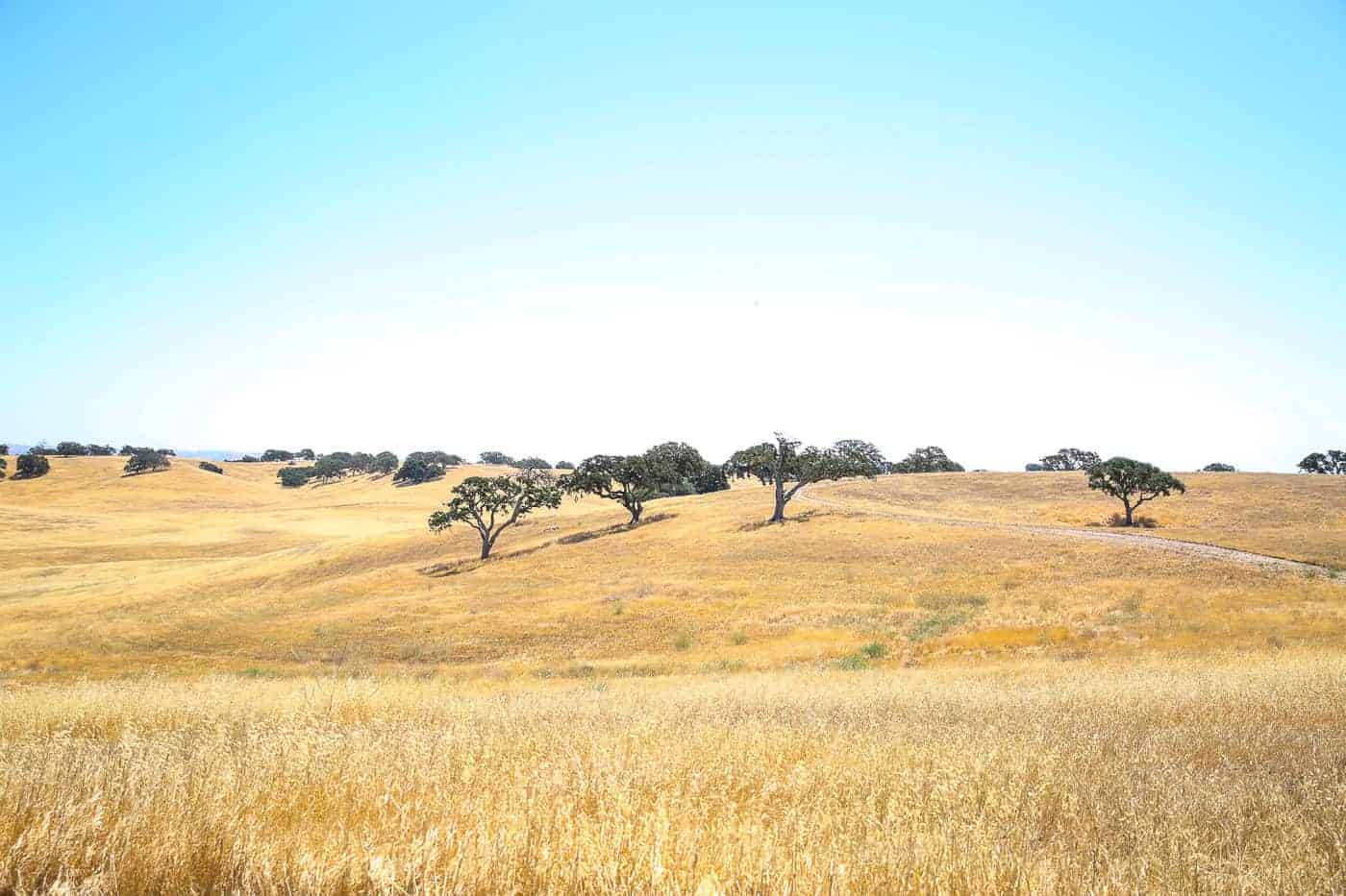 Paso Robles Itinerary Travel Guide