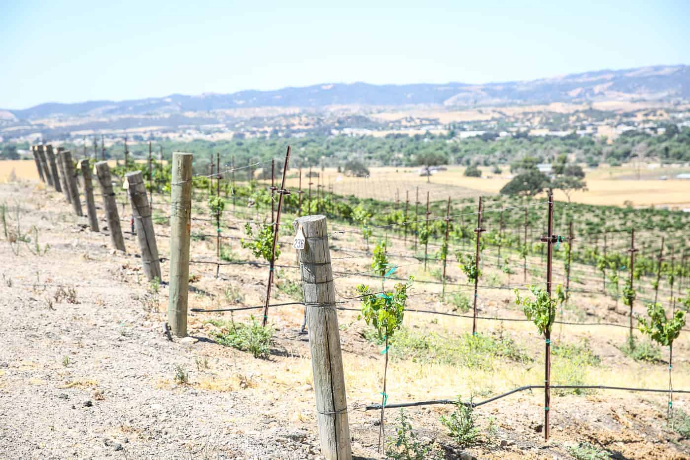 Paso Robles California Travel Guide Itinerary