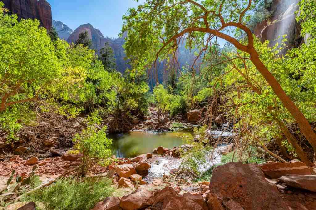emerald pools trail is a must see for one day in Zion national park