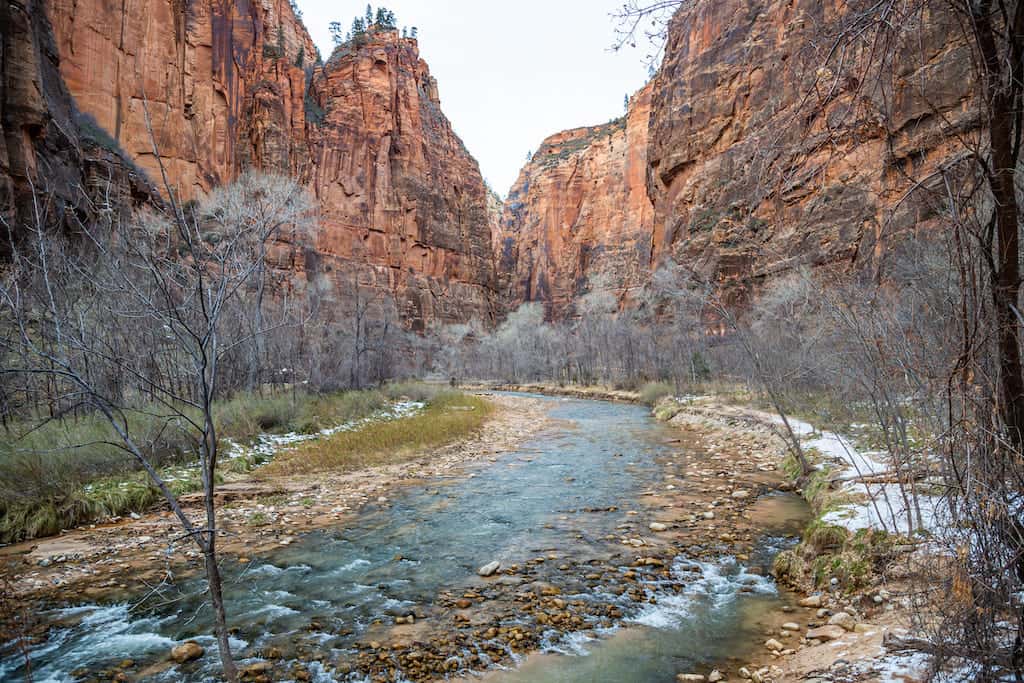 view of the virgin river from riverside walk trail