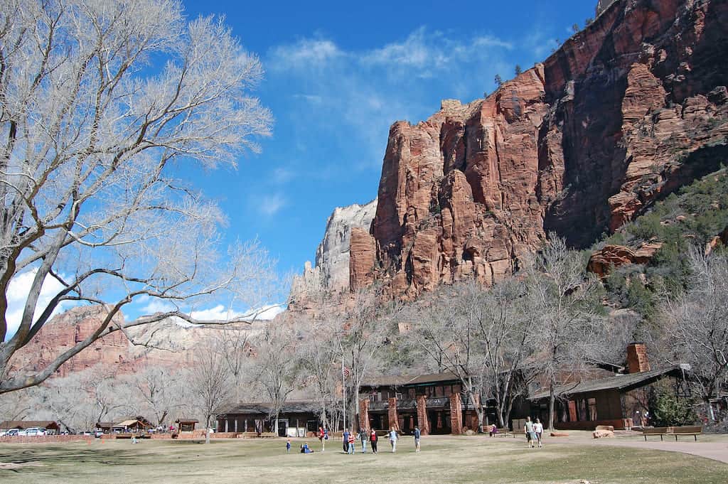 trees in front of Zion lodge