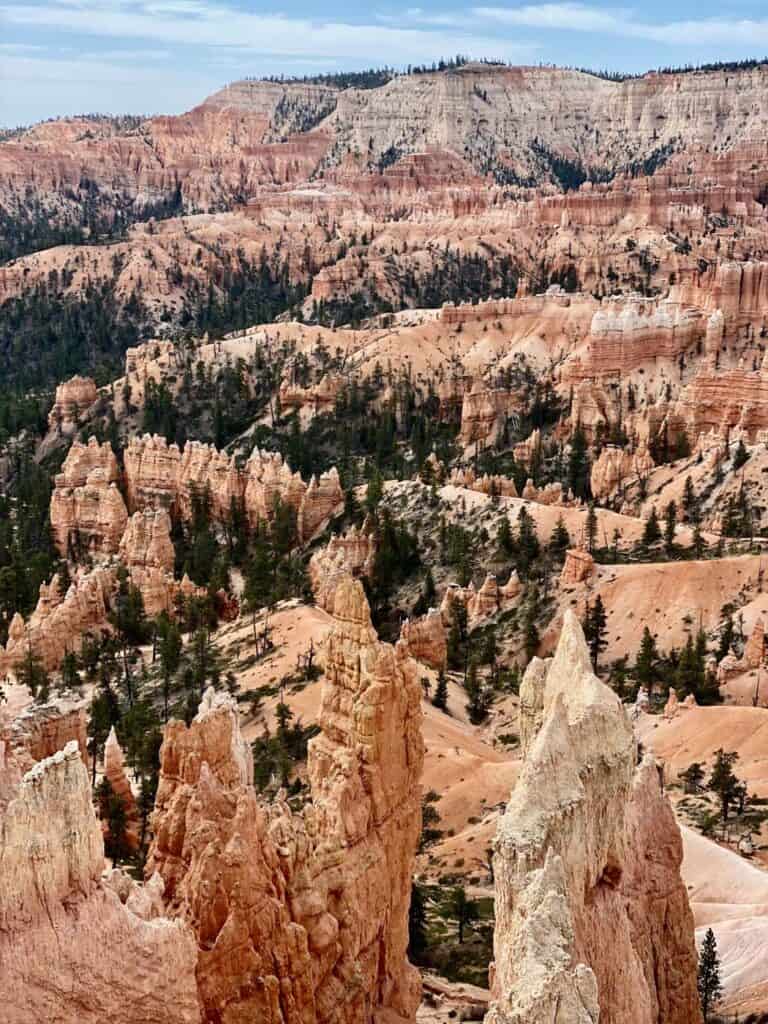 hoodoos at Bryce Canyon national park