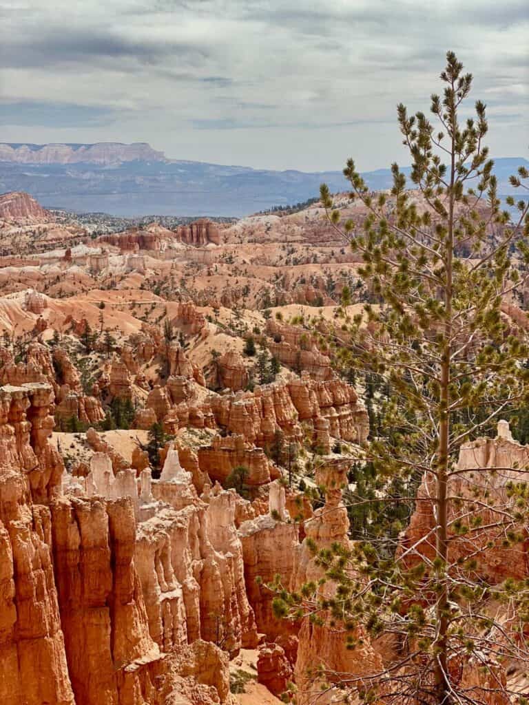 sunrise point in Bryce canyon
