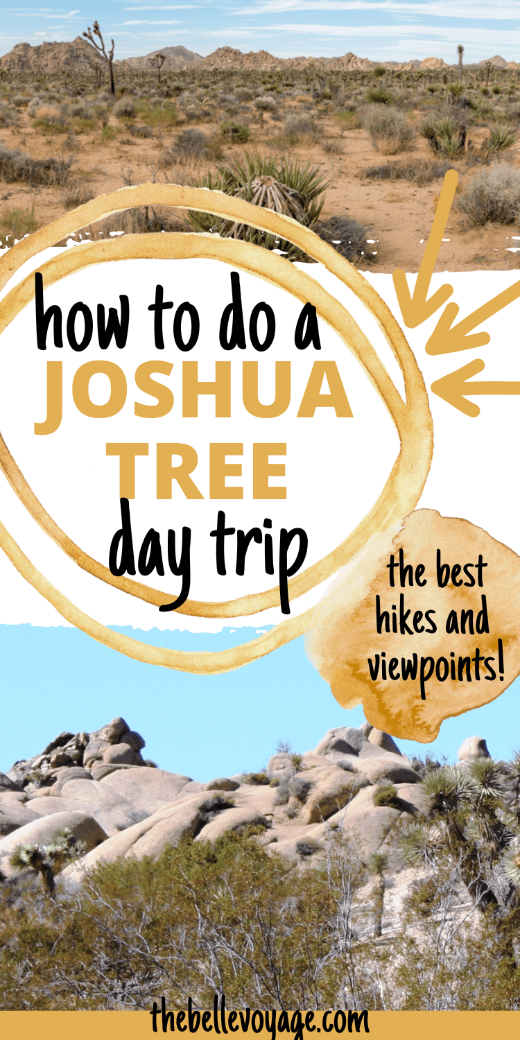The Perfect Joshua Tree Day Trip A 1 Day Itinerary (2023)