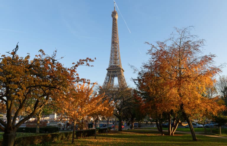 Eiffel Tower with autumn leaves