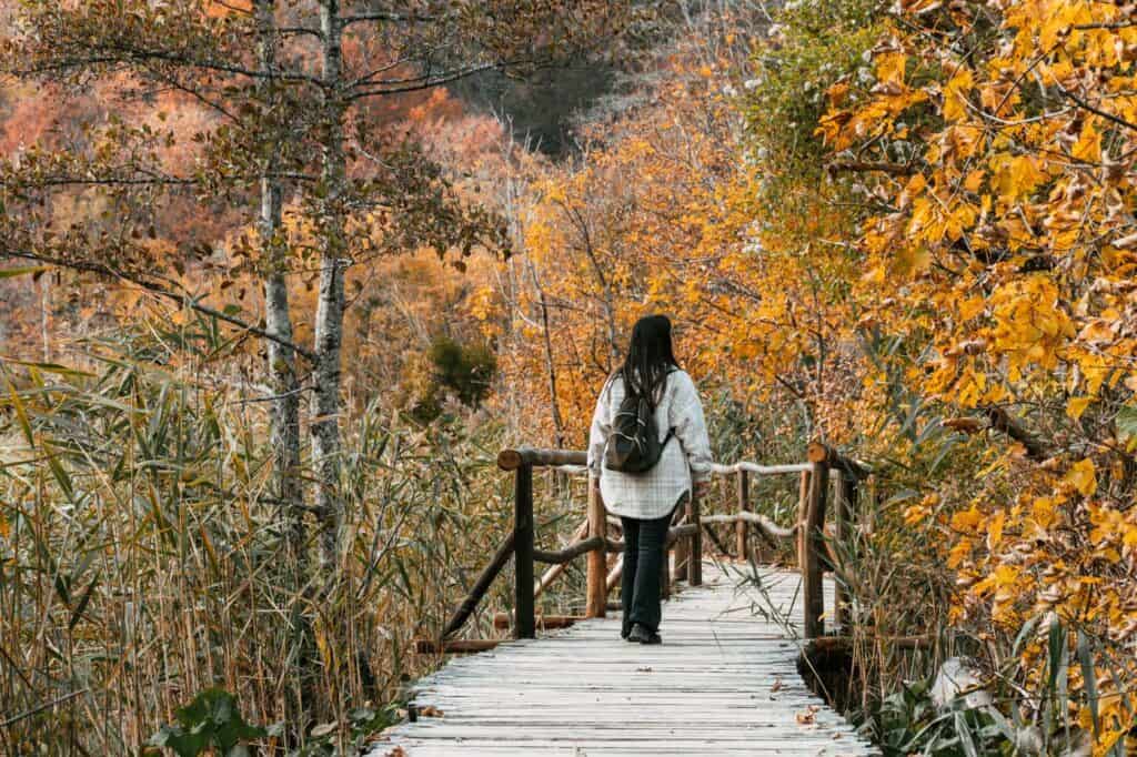 woman traveling in fall