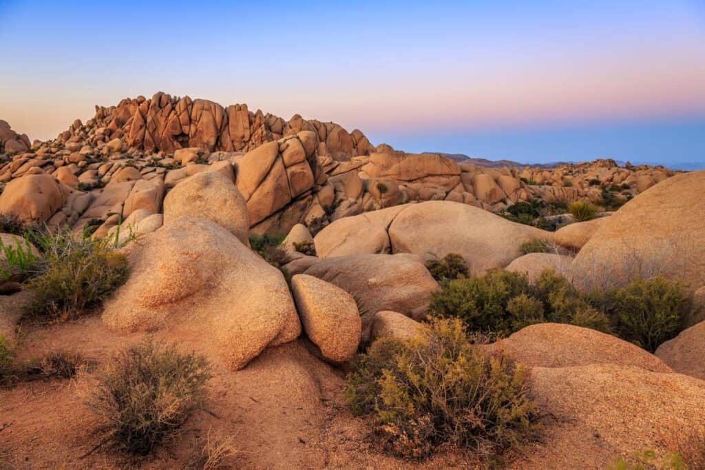 jumbo rocks Joshua tree national park