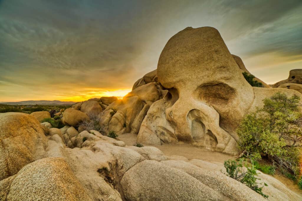 skull rock Joshua tree national park