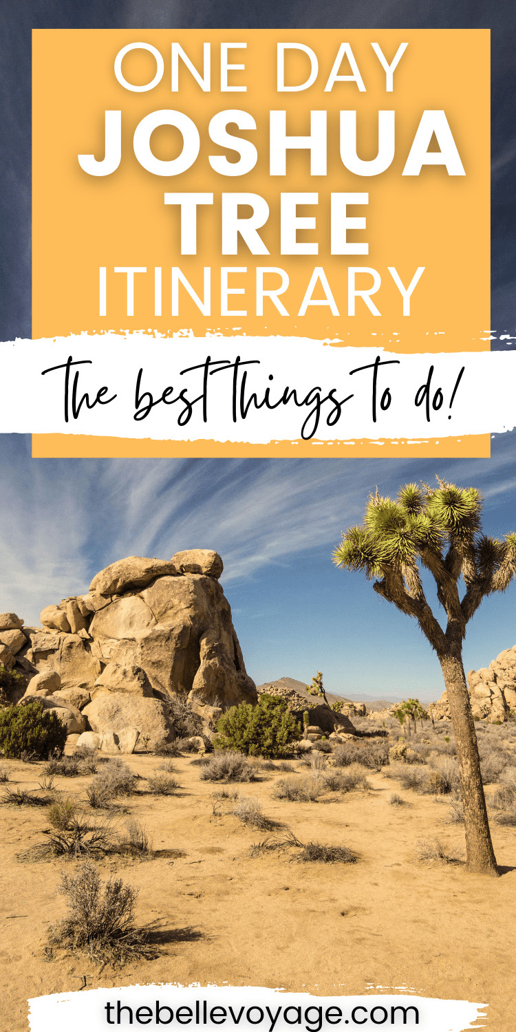 The Perfect Joshua Tree Day Trip A 1 Day Itinerary (2023)
