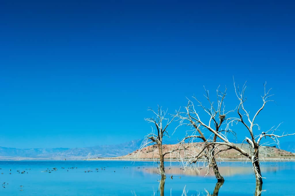 Salton Sea ca