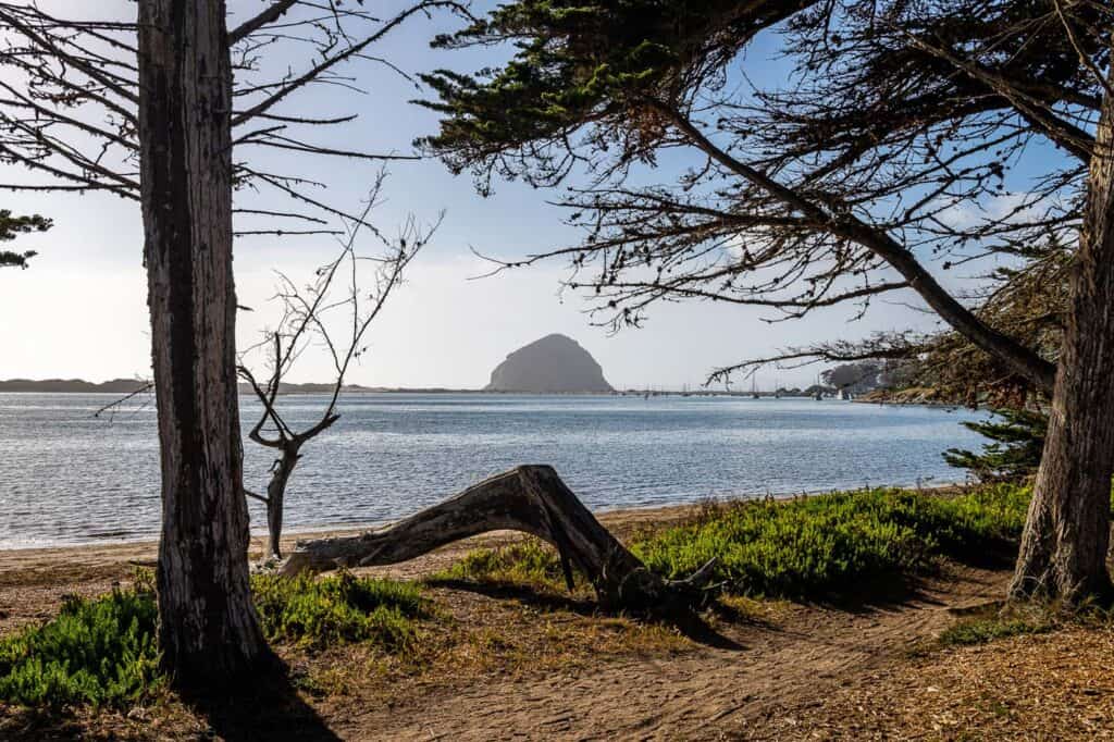 Morro Bay near San Luis Obispo ca