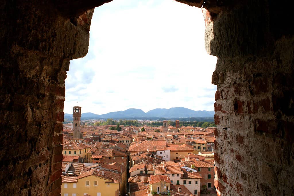 view of the red roofs in lucca