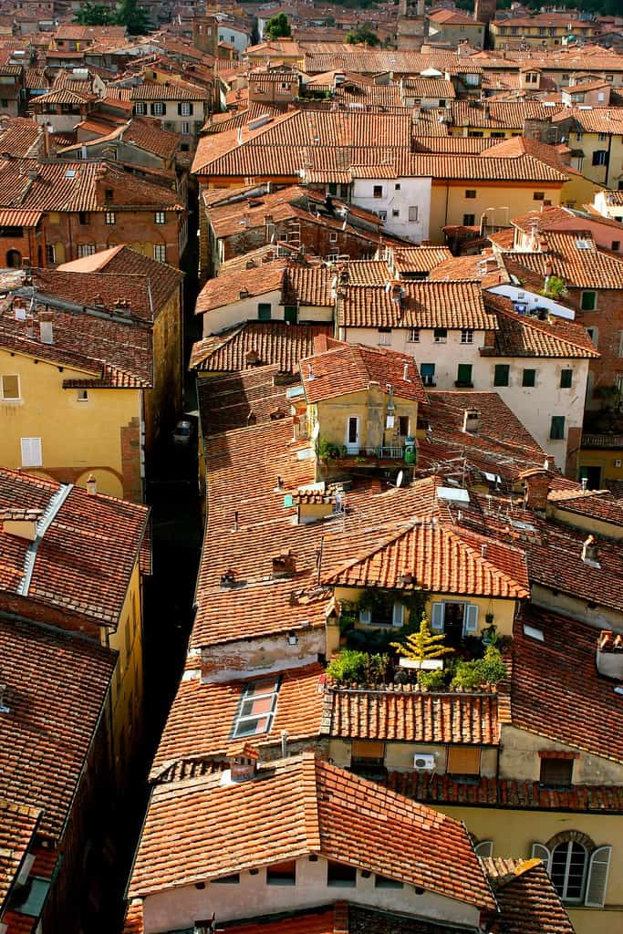 red roofs in lucca italy
