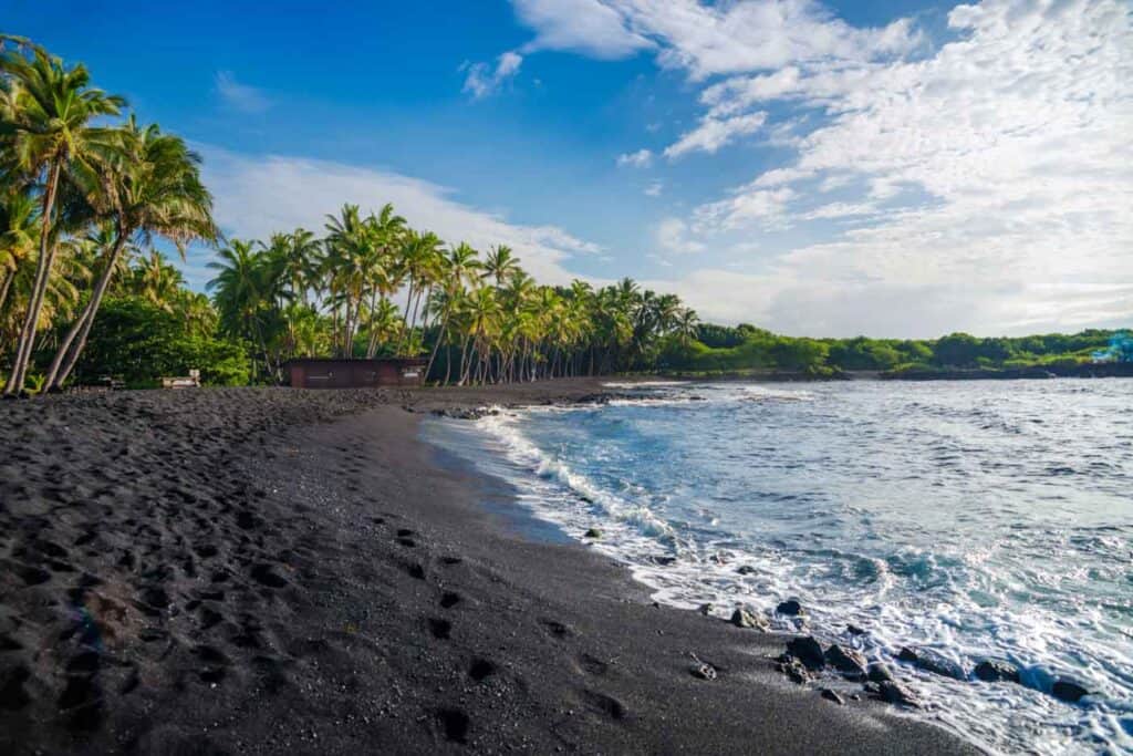 black sand beach with palm trees