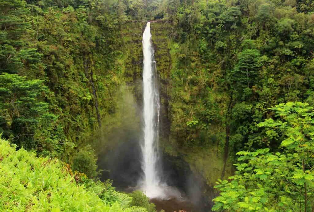 waterfall in tropical setting