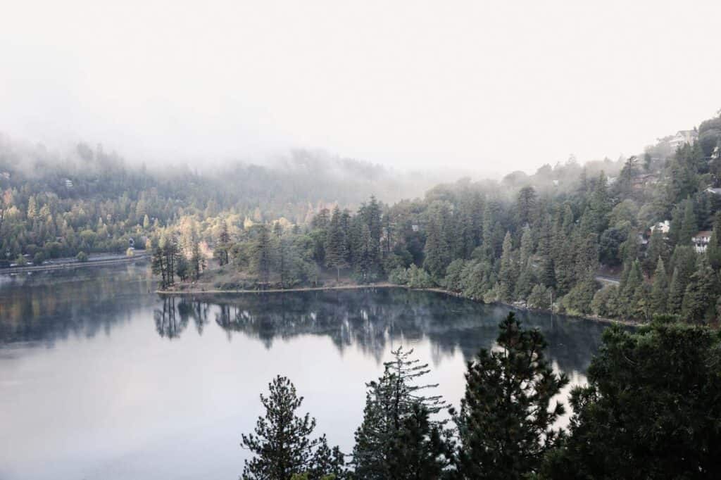 fog over a mountain lake, with pine trees reflected in the water
