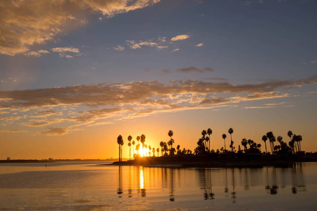 palm trees silhouetted against the sunset sky reflecting in the calm San Diego Bay