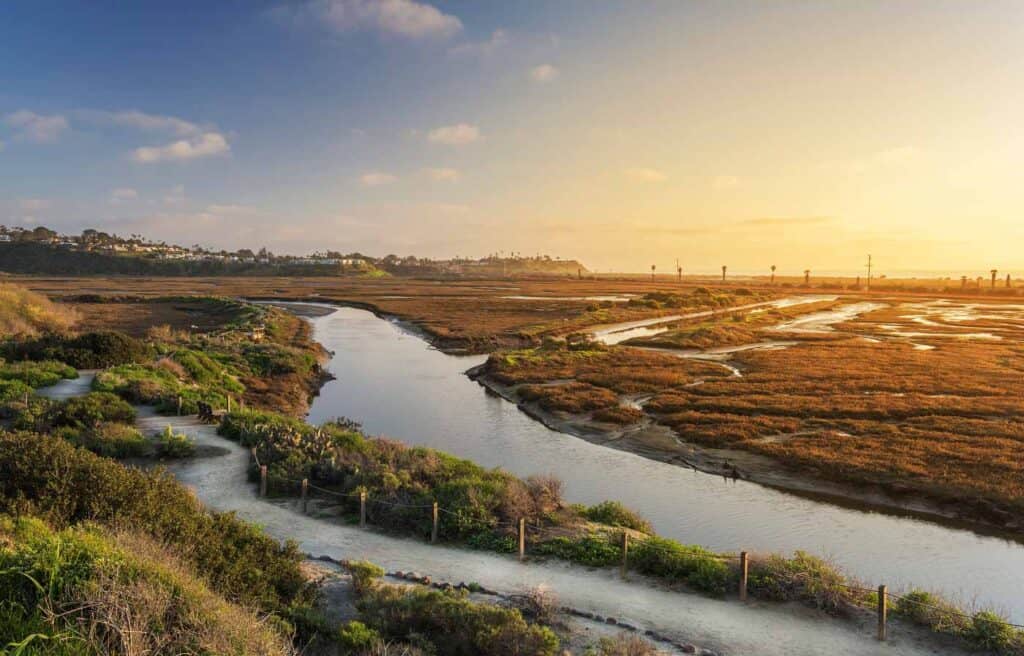 san elijo lagoon marshes at sunset