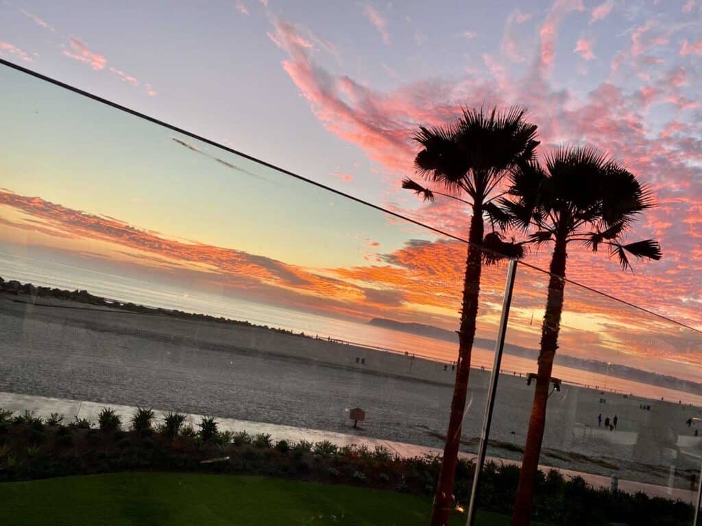 palm trees silhouetted against a pink sunset sky in Coronado ca