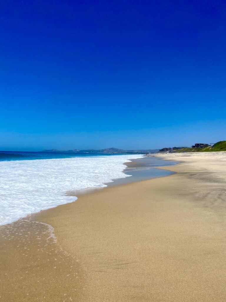 29 Unique Things to Do in San Jose Del Cabo (2023)