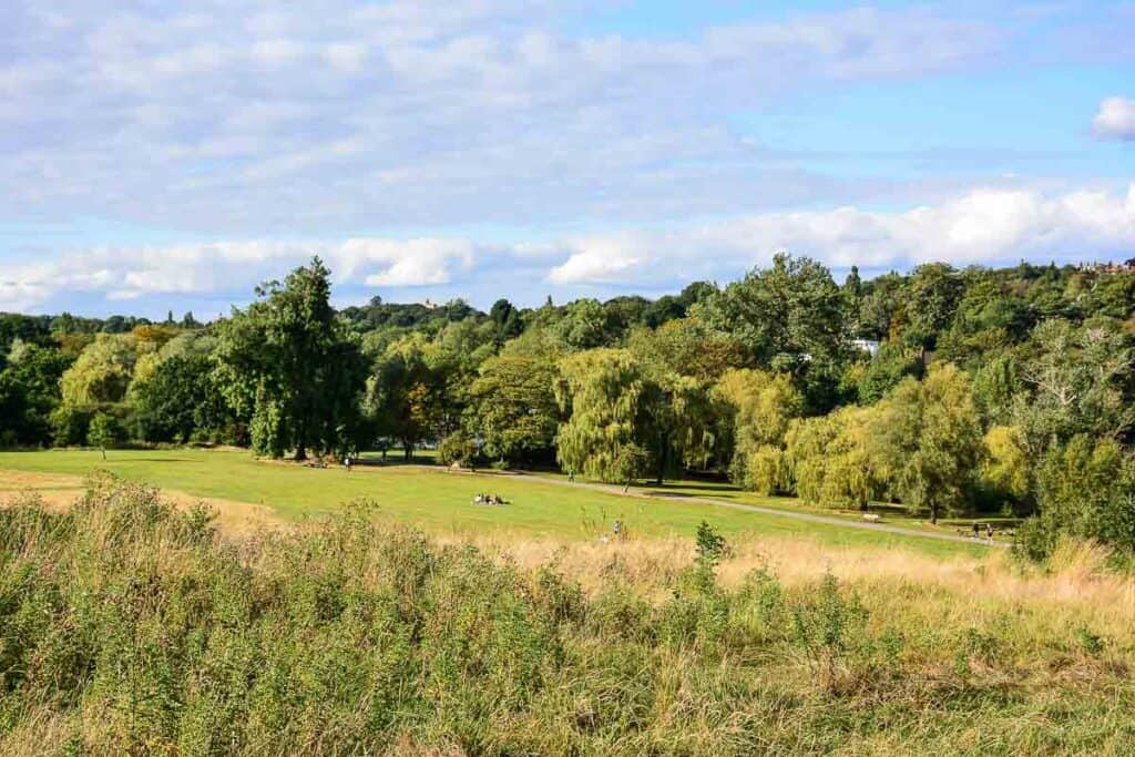A tree lined grassy meadow in Hampstead Heath London