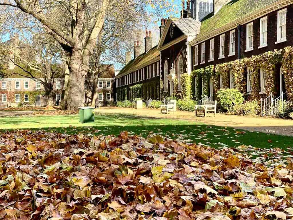 Fallen autumn leaves on the ground in front of a red brick building at the museum of the home in london