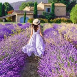 Provence, France. Charming young woman in Blooming Lavender fiel